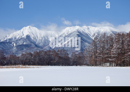 Montagne coperte di neve in Giappone Foto Stock