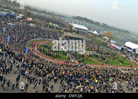 Cheltenham, Regno Unito. Il 14 marzo 2014. Signore Windermere vince la Gold Cup a Cheltenham Gold Cup Festival 2014, giorno 4, The Cheltenham Gold Cup venerdì. Credito: Jules annan/Alamy Live News Foto Stock