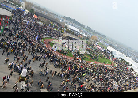 Cheltenham, Regno Unito. Il 14 marzo 2014. Signore Windermere vince la Gold Cup a Cheltenham Gold Cup Festival 2014, giorno 4, The Cheltenham Gold Cup venerdì. Credito: Jules annan/Alamy Live News Foto Stock