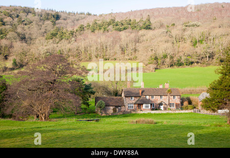 Exmoor podere immerso tra alberi brandire Street borgo, Selworthy, Somerset, Inghilterra Foto Stock