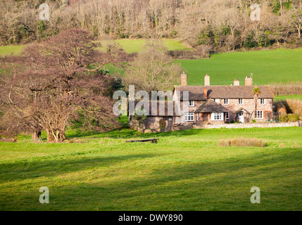 Exmoor podere immerso tra alberi brandire Street borgo, Selworthy, Somerset, Inghilterra Foto Stock