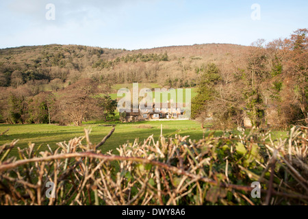 Exmoor podere immerso tra alberi brandire Street borgo, Selworthy, Somerset, Inghilterra Foto Stock