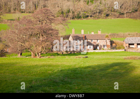 Exmoor podere immerso tra alberi brandire Street borgo, Selworthy, Somerset, Inghilterra Foto Stock