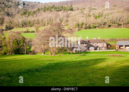 Exmoor podere immerso tra alberi brandire Street borgo, Selworthy, Somerset, Inghilterra Foto Stock