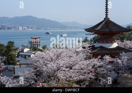 Pagoda a cinque piani circondato da fiori di ciliegio, Hatsukaichi, Prefettura di Hiroshima, Giappone Foto Stock