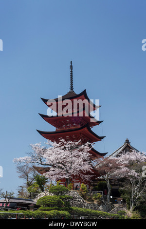 Pagoda a cinque piani circondato da fiori di ciliegio, Hatsukaichi, Prefettura di Hiroshima, Giappone Foto Stock