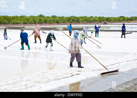 La raccolta del sale nel sale farm in Thailandia Foto Stock