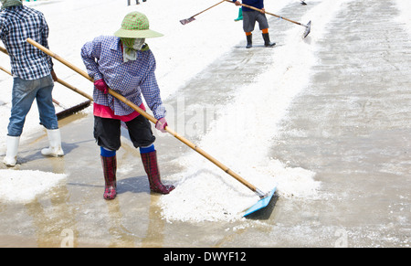 La raccolta del sale nel sale farm in Thailandia Foto Stock