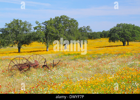 Una vecchia fattoria implementare riposa in un campo di fiori selvatici a molla nel Texas Hill Country. Foto Stock