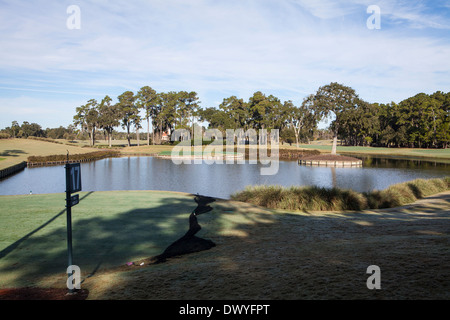 La famosa isola di diciassettesimo foro verde di TOC Sawgrass Stadium corso è raffigurato in Ponte Vedra Beach, Florida Foto Stock