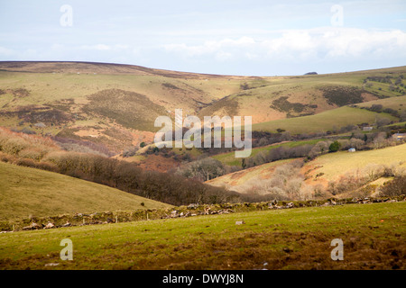 Speroni di incastro affluente valle dell'Oriente Lyn river, Brendon, Parco Nazionale di Exmoor, Devon, Inghilterra Foto Stock