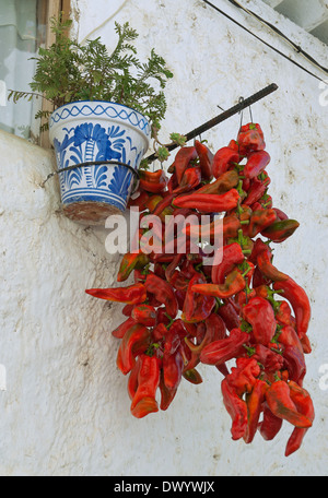 Incapsulate e peperoni rossi, Castril, Granada-provincia, regione dell'Andalusia, Spagna, Europa Foto Stock