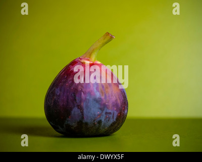 Un maturo viola fig frutto della comune fig impianto (Ficus carica) contro uno sfondo verde. Foto Stock