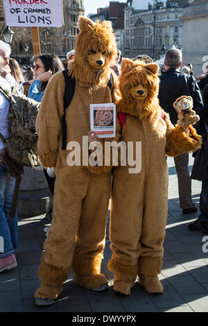 Trafalgar Square, Londra, Regno Unito, 15 marzo 2014. Global March per i Lions, a proteste di massa nelle principali città di tutto il mondo contro la organizzato conserve di caccia dei leoni. Credito: Colin Hutchings/Alamy Live News Foto Stock