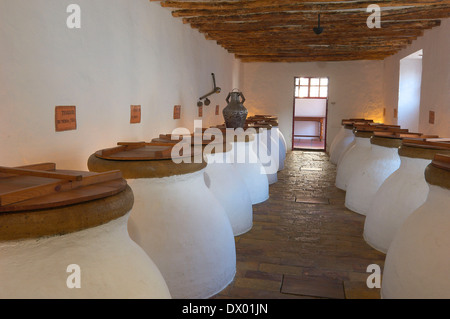 Olio di oliva cantina, Baena Foto Stock