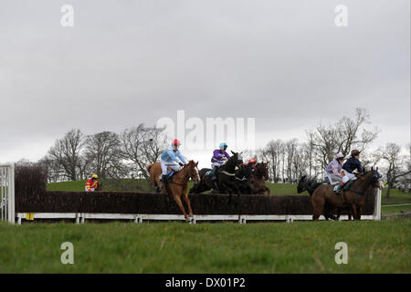 Kelso, Regno Unito. - 15/Mar/2014 : Frati Haugh Duca di Buccleuch punto-2-punto didascalia: 13:30 Connolly Rosso di mulini di corsa intermedia Credito: Rob grigio/Alamy Live News Foto Stock