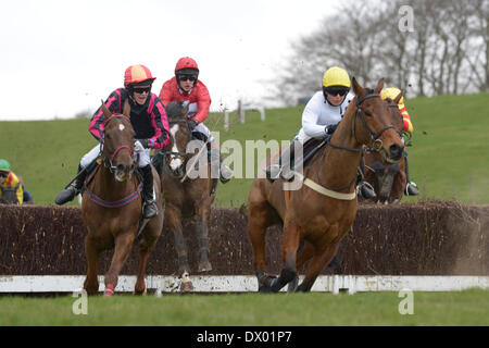 Kelso, Regno Unito. - 15/Mar/2014 : Frati Haugh Duca di Buccleuch punto-2-punto Caption: Jockey è giocato in 13:30 Connolly Rosso di mulini di corsa intermedia Credito: Rob grigio/Alamy Live News Foto Stock