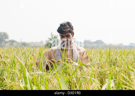 1 L'agricoltore indiano in piedi in fattoria Foto Stock