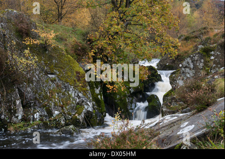 Autunno a Watendlath, la Beck e gli alberi in magnifici colori. Foto Stock