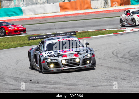 Audi LMS Cup 2013 Foto Stock