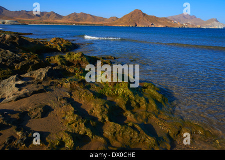 Ensenada de los Genoveses, Cabo de Gata Foto Stock