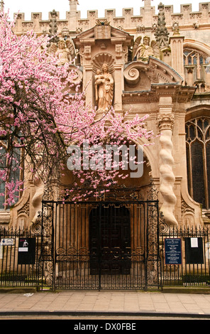 Università chiesa di Santa Maria Vergine portico e Blossom Foto Stock