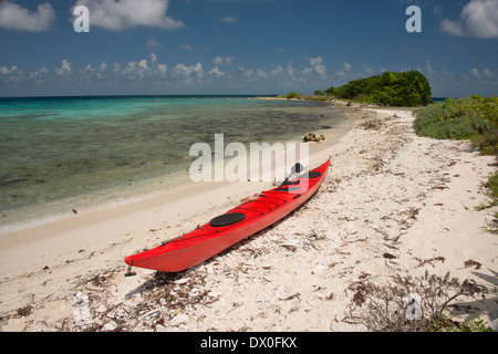 Belize, il Mare dei Caraibi, Stann Creek quartiere nei pressi di Plasencia. Ridendo Bird Caye Parco Nazionale. Foto Stock