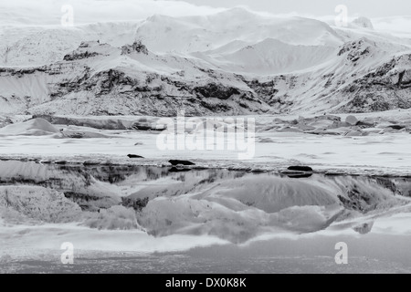 Guarnizioni di tenuta in prossimità della lingua del ghiacciaio Breidamerkurjokull e montagne si riflette nel gelido Jokulsarlon laguna glaciale - In bianco e nero Foto Stock