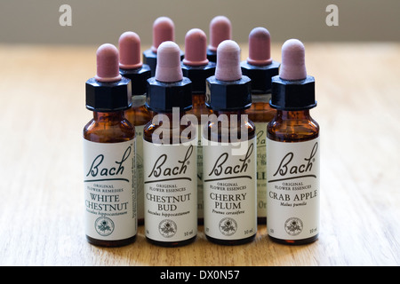 Fiore di Bach remedy essenze. Foto Stock