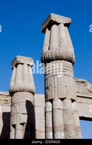 Tempio di Ramses III a Medinet Habu: colonne con chiusura fiore di papiro Foto Stock