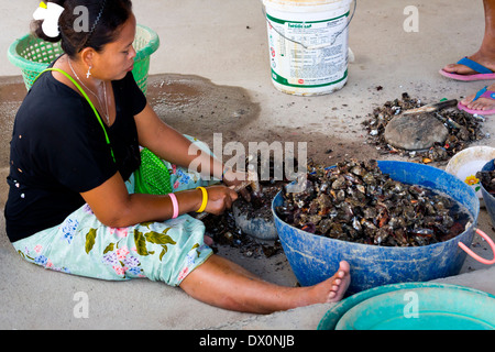 Ostriche di cracking in Chao Ley su Ko Siray, Phuket, Tailandia Foto Stock