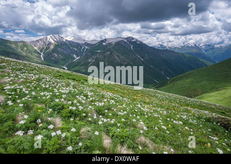 beautiful mountain on summer time Foto Stock