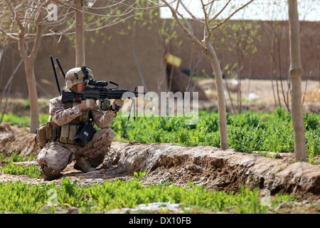 US Marine Corps Lance Cpl. Cody Kovnesky con il 9° Reggimento Marine, fornisce la sicurezza durante una pattuglia Marzo 5, 2014 nella provincia di Helmand, Afghanistan. Foto Stock
