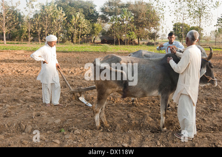 L'agricoltore indiano permanente di lavoro in fattoria Foto Stock