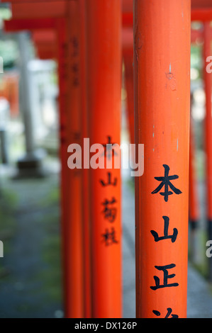 Torii Gates al Santuario Nezu, Tokyo, Giappone Foto Stock