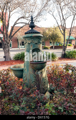 Ornato pubblico antica fontana di acqua lungo la strada del centro nel centro storico cittadino di Fernandina Beach, Florida, Stati Uniti d'America. Foto Stock