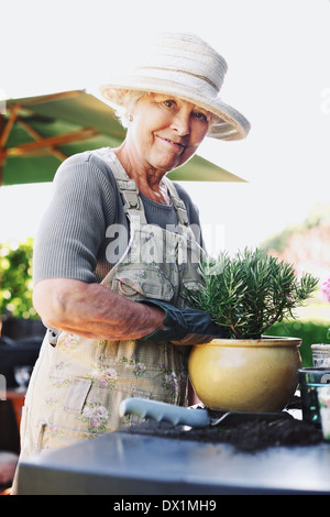 Felice donna senior di piantare nuove piante in vaso in terracotta su un contatore nel cortile. Femmina Senior giardiniere lavora in cortile Foto Stock