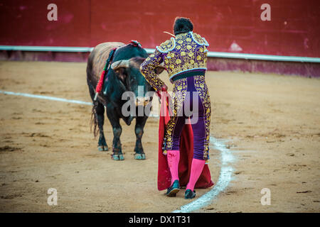 Valencia, Spagna. Marzo 16th, 2014: torero spagnolo David Fandila " El Fandi' esegue durante una Corrida nella Plaza de Toros Valencia durante il Fallas Festival Credito: matthi/Alamy Live News Foto Stock