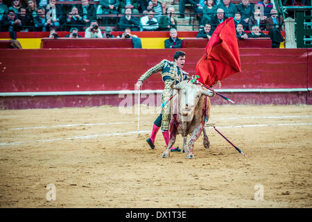 Valencia, Spagna. Marzo 16th, 2014: torero spagnolo Daniel Luque esegue durante una Corrida nella Plaza de Toros Valencia durante il Fallas Festival Credito: matthi/Alamy Live News Foto Stock