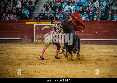 Valencia, Spagna. Marzo 16th, 2014: torero spagnolo David Fandila " El Fandi' esegue durante una Corrida nella Plaza de Toros Valencia durante il Fallas Festival Credito: matthi/Alamy Live News Foto Stock