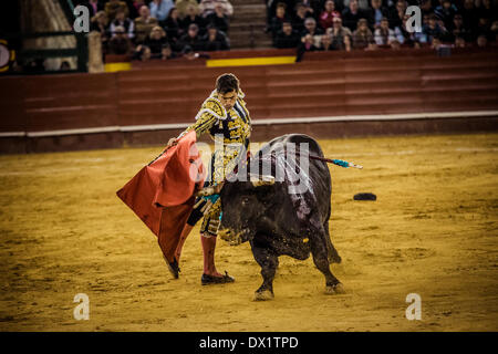 Valencia, Spagna. Marzo 16th, 2014: torero spagnolo Daniel Luque esegue durante una Corrida nella Plaza de Toros Valencia durante il Fallas Festival Credito: matthi/Alamy Live News Foto Stock