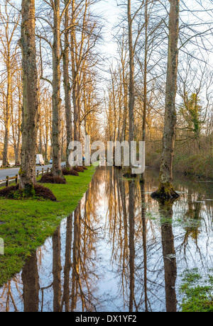 Le inondazioni sul percorso a Arundel, West Sussex, Regno Unito Foto Stock