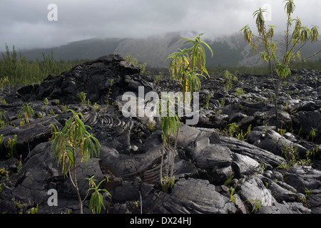 Eruzioni di lava negli ultimi accumulata ad est dell'isola di Reunion in Le Grand Brule. Il Grand Brûlé è la costiera Foto Stock