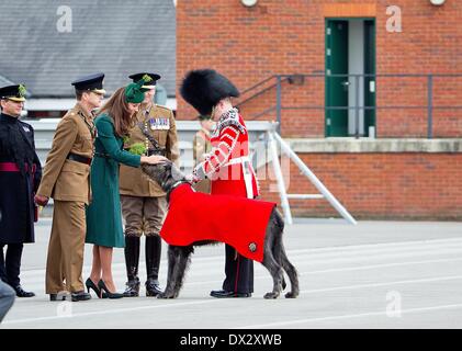 Aldershot, Gran Bretagna. Xvii Mar, 2014. Britains Prince William und Duchessa Catherine sono gli ospiti d'onore di quest'anno al irlandese Guardie' il giorno di San Patrizio Parade di Aldershot, Gran Bretagna, 17 marzo 2014. Foto: RPE/ Albert Nieboer -/dpa/Alamy Live News Foto Stock
