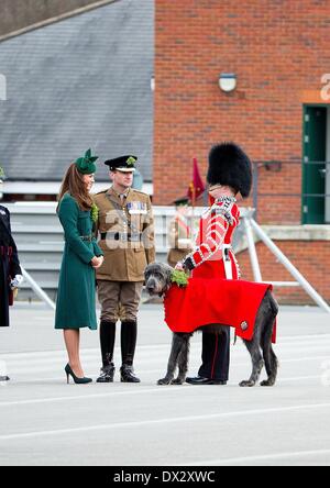 Aldershot, Gran Bretagna. Xvii Mar, 2014. Britains Prince William und Duchessa Catherine sono gli ospiti d'onore di quest'anno al irlandese Guardie' il giorno di San Patrizio Parade di Aldershot, Gran Bretagna, 17 marzo 2014. Foto: RPE/ Albert Nieboer -/dpa/Alamy Live News Foto Stock