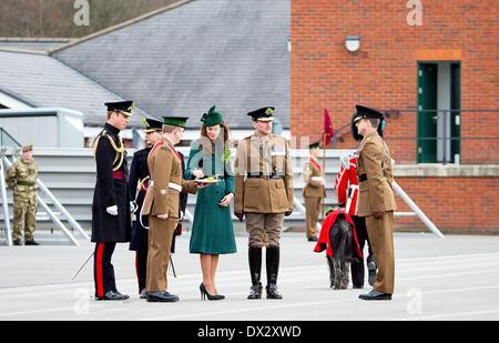 Aldershot, Gran Bretagna. Xvii Mar, 2014. Britains Prince William und Duchessa Catherine sono gli ospiti d'onore di quest'anno al irlandese Guardie' il giorno di San Patrizio Parade di Aldershot, Gran Bretagna, 17 marzo 2014. Foto: RPE/ Albert Nieboer -/dpa/Alamy Live News Foto Stock