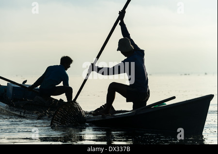 Lago Inle, MYANMAR - CIRCA NEL DICEMBRE 2013: uomo raccogliendo il fango e le erbacce dal fondo del lago per costruire i giardini galleggianti nel Lago Inle. Foto Stock