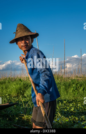 Lago Inle, MYANMAR - CIRCA NEL DICEMBRE 2013: Uomo al lavoro su giardino galleggiante nel Lago Inle. Foto Stock