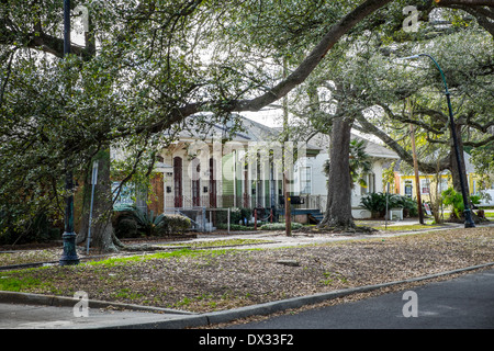 Vista del famoso Opelusas Ave e live oaks nel punto di Algeri, un popolare comunità entro la città di New Orleans in Louisiana. Foto Stock