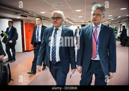 Bruxelles, Belgio. Xvii Mar, 2014. Il Ministro degli esteri tedesco Frank-Walter Steinmeier arriva per un briefing con la stampa durante la comunità degli affari esteri del Consiglio dei ministri a Bruxelles in Belgio su 17.03.2014 i ministri degli esteri della UE sono dovute a discutere di ulteriori sanzioni contro la Russia dopo una mosca-backed referendum in Crimea sostenuto un gruppo dall'Ucraina. Il 28-stati bloc sta valutando la possibilità di un divieto di visto e congelamento degli asset contro un certo numero di funzionari russi. Più di 95 percento di Crimea elettori backed unendo la Russia, funzionari locali hanno detto. da Wiktor Dabkowski/dpa/Alamy Live News Foto Stock